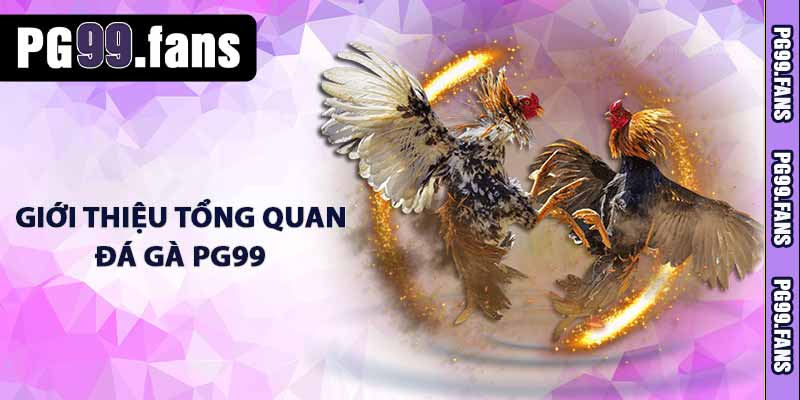 Giới thiệu tổng quan đá gà PG99